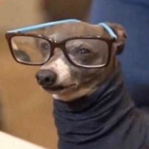 Meet your Posher, Maria